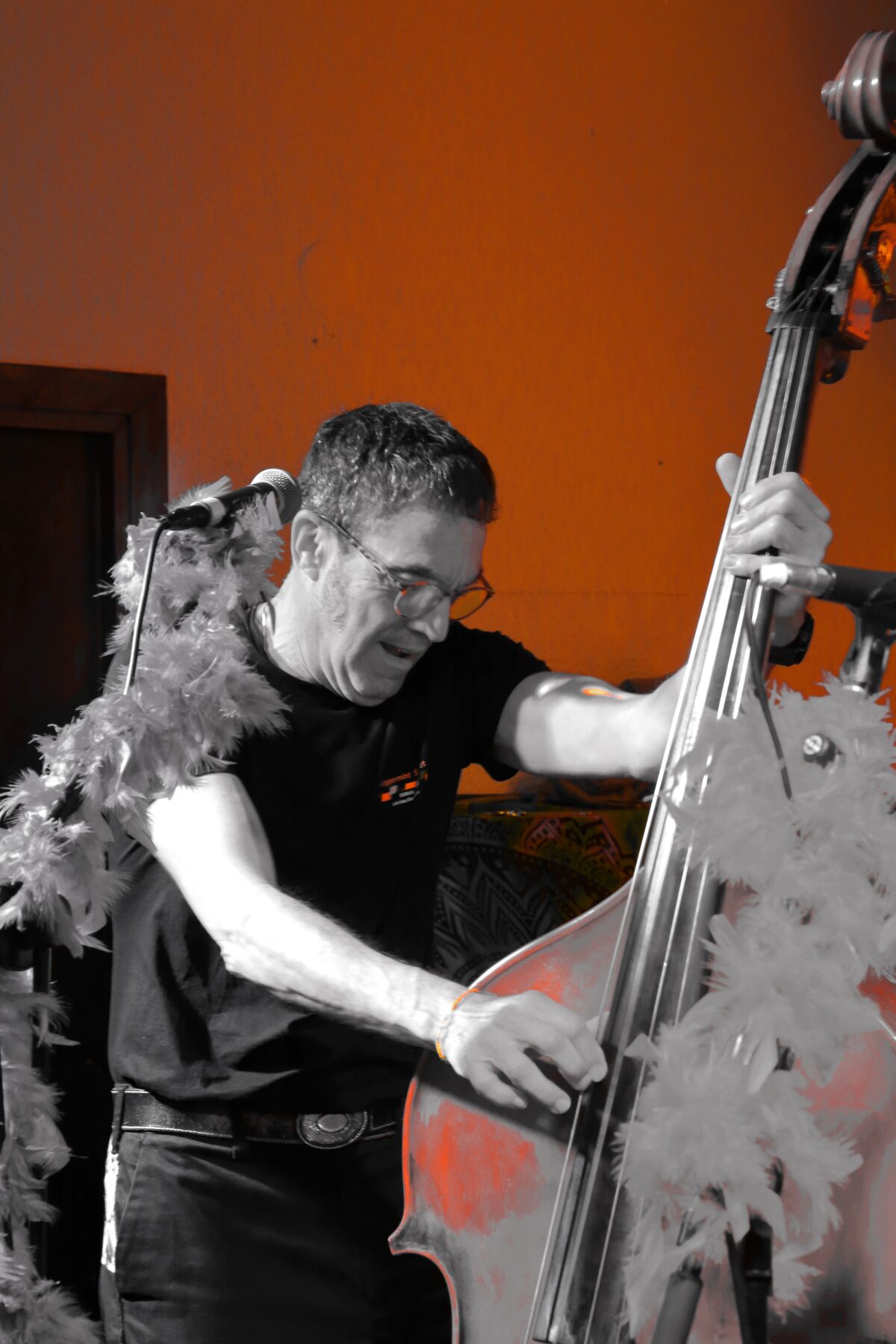 Peppermint Sextet 12